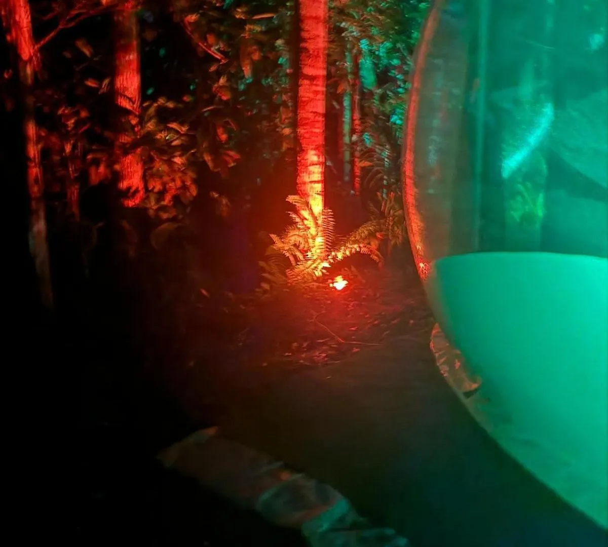 Hotel Bulle Skys Evasion Gros-Morne Glamping